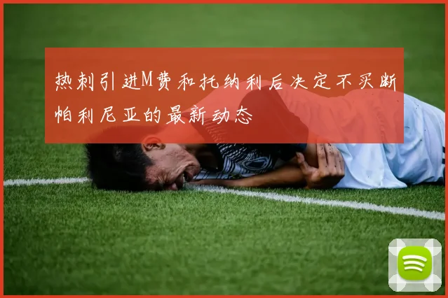 热刺引进M费和托纳利后决定不买断帕利尼亚的最新动态